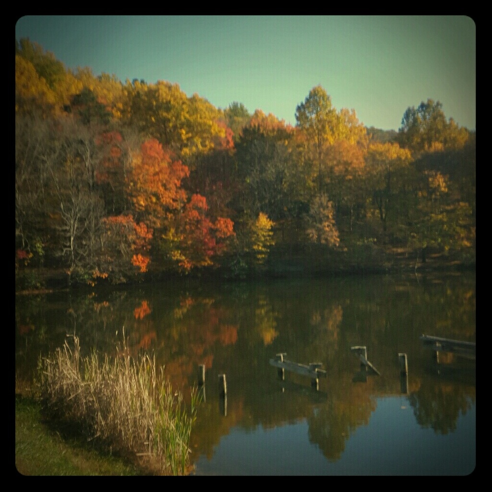 Meet your Posher, Robert and Margaret