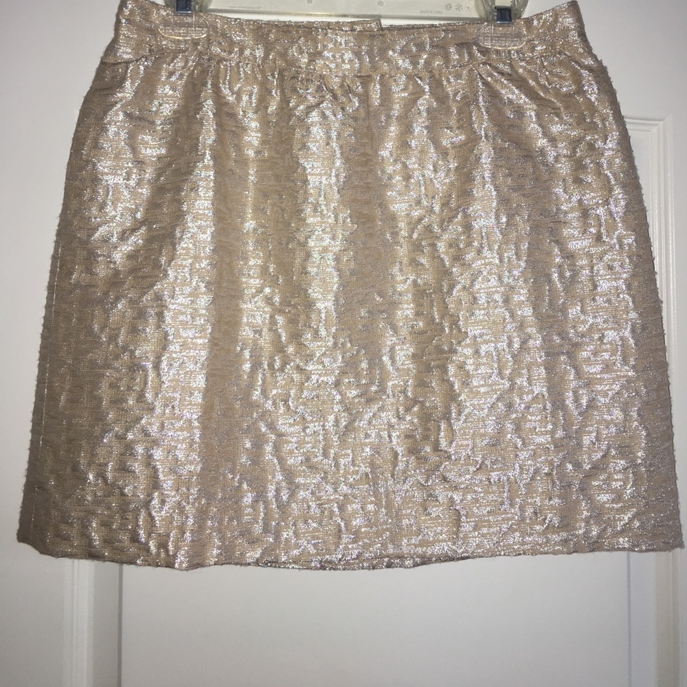 Ann Taylor Skirt