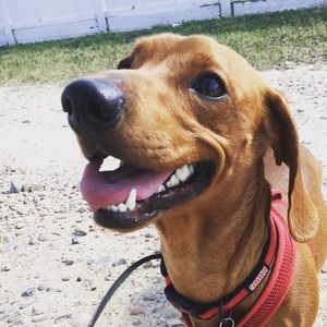 Meet your Posher, Philip