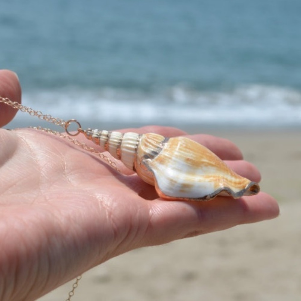 🐚 Beautiful gold plated conch sea shell necklace 🐚