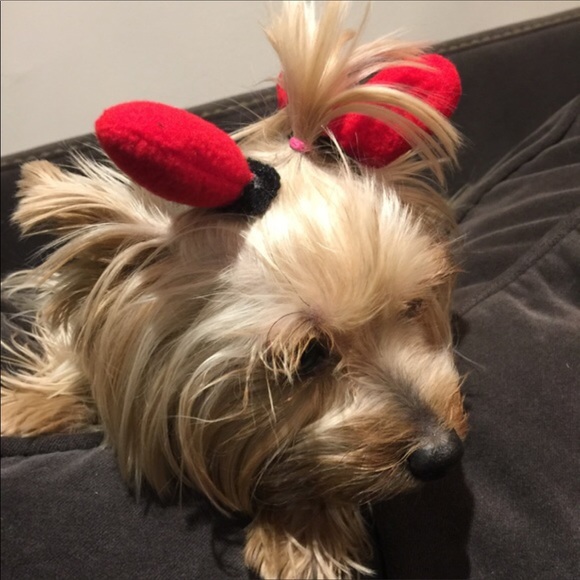 RED BOWS for your long hair doggie ππΆπ - Picture 3 of 3