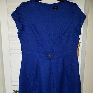 NWT royal blue dress, sz 16
