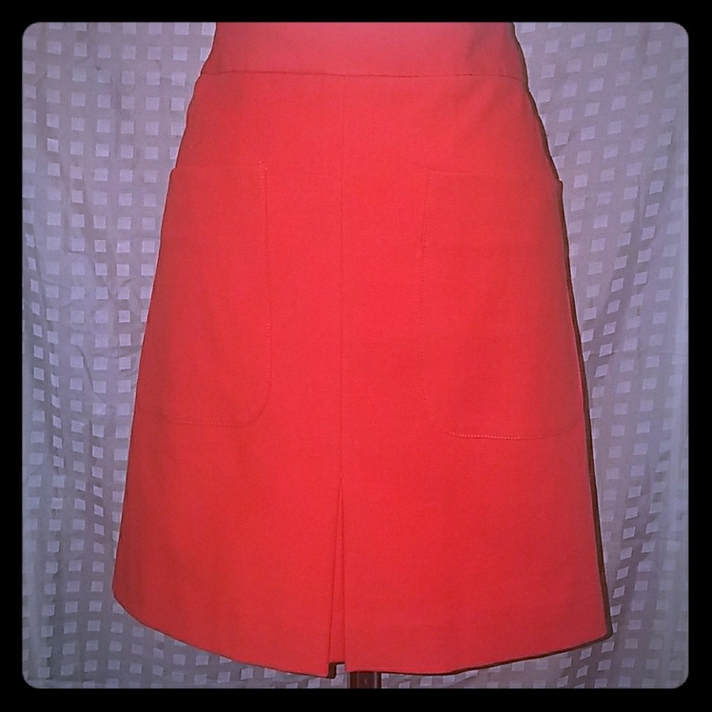 LOFT skirt