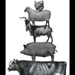 Meet your Posher, Gina