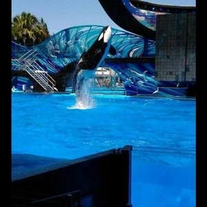 Meet your Posher, Savanah