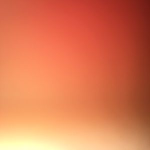 Meet your Posher, Miracle