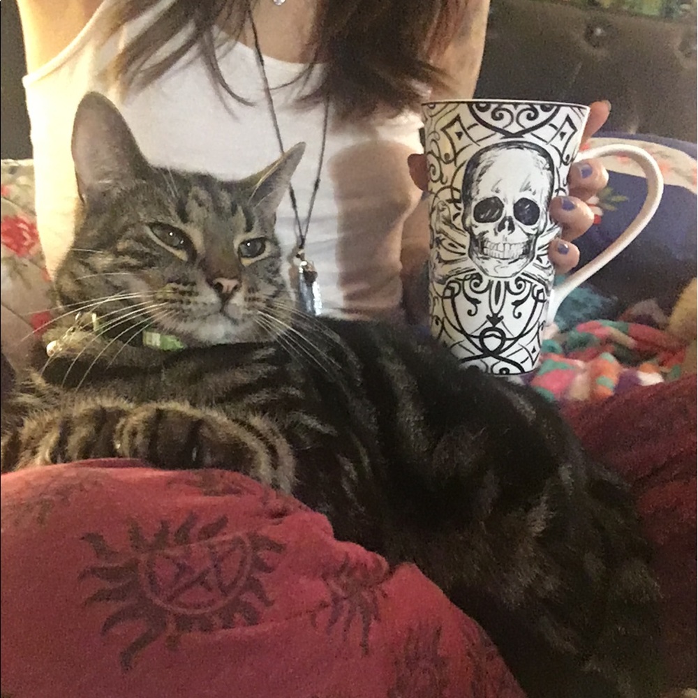 Meet your Posher, Sherah