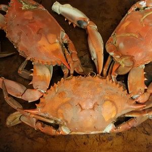 Meet your Posher, Derrick