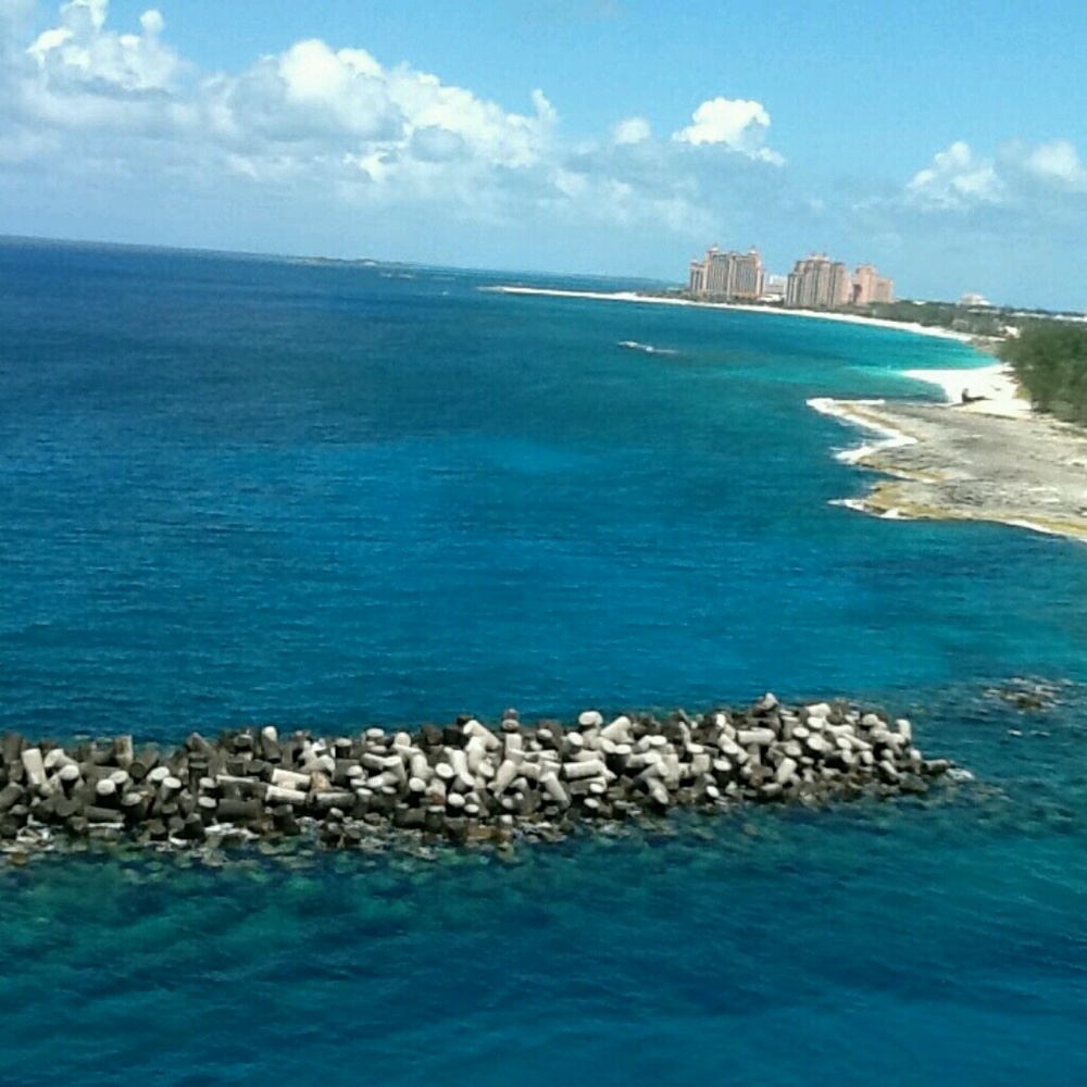 Meet your Posher, Analia