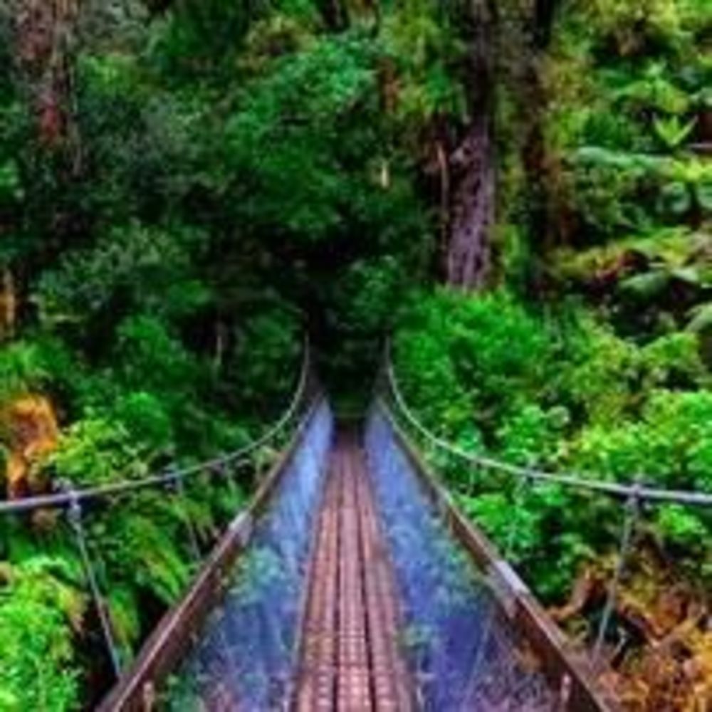 Meet your Posher, Janie