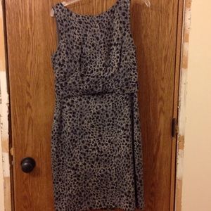 Ann Taylor Black/Gray Dress