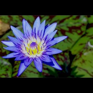 Meet your Posher, Sherry