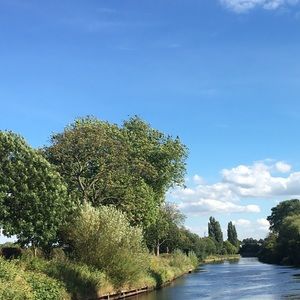 Meet your Posher, Bailey