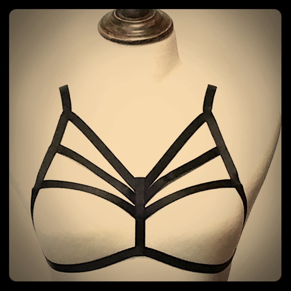 NWOT Breast Harness
