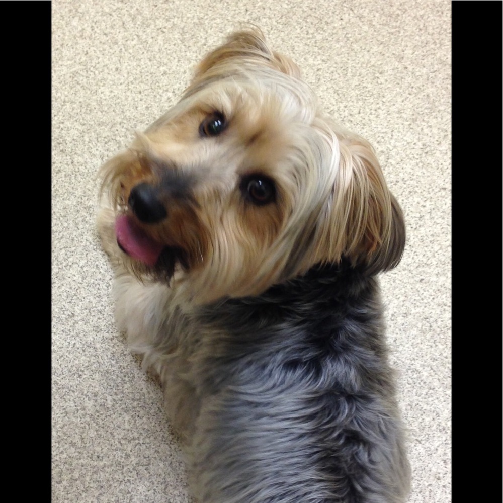 Meet your Posher, Jana