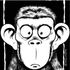 Meet your Posher, Julio