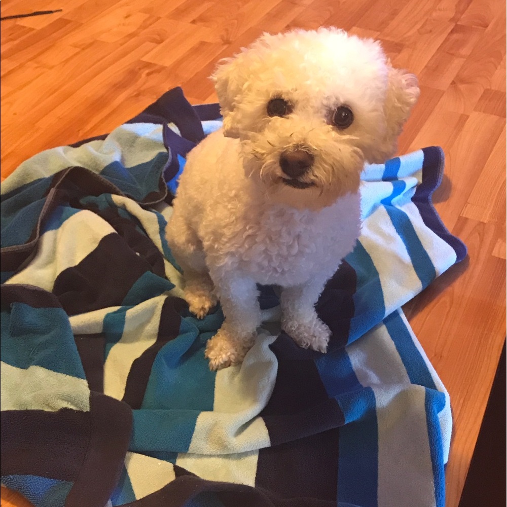 Meet your Posher, Mari