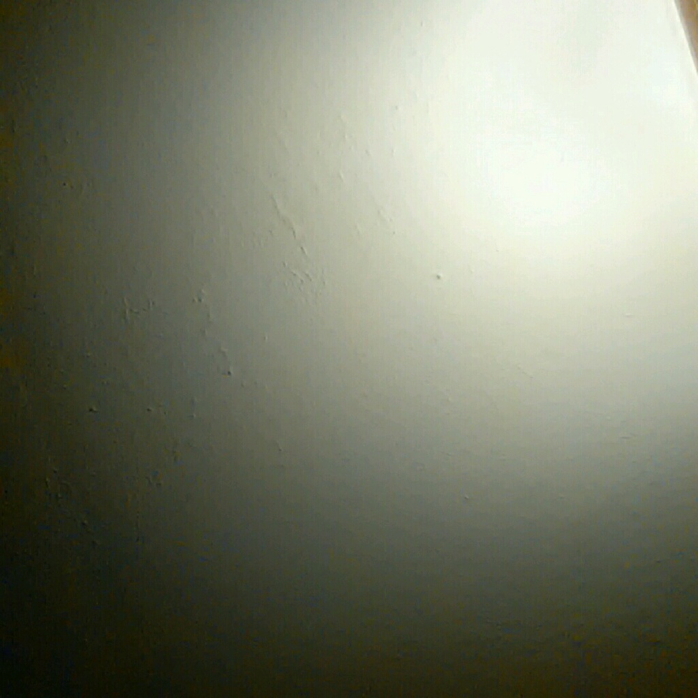 Meet your Posher, Zach