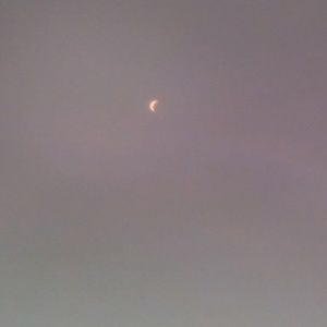 Meet your Posher, Kali