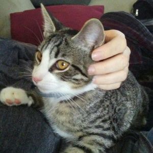 Meet your Posher, Jessica