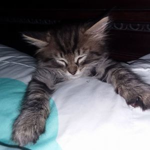 Meet your Posher, Kristin