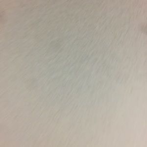 Meet your Posher, Dylan