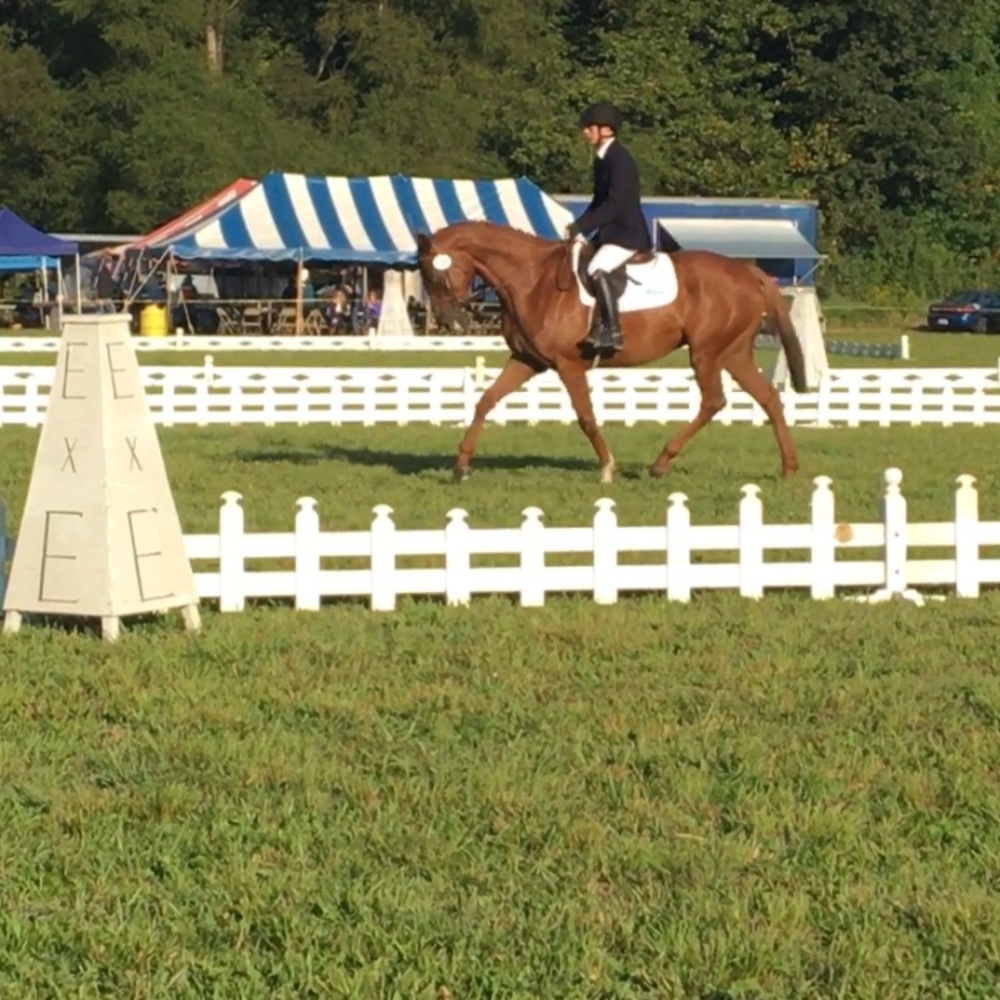 Meet your Posher, Seth