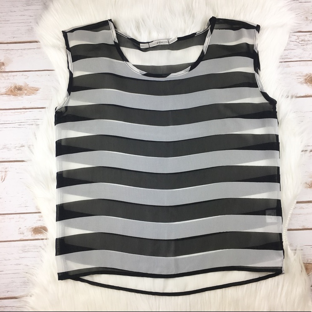Sheer Striped Blouse