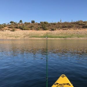 Meet your Posher, Kent