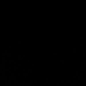 Meet your Posher, Jessi