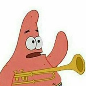 Meet your Posher, Coco