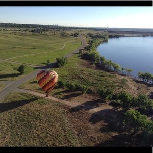Meet your Posher, Robin