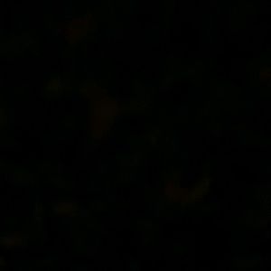 Meet your Posher, Gregoire