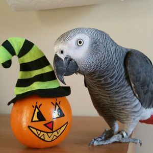 Meet your Posher, Cathy