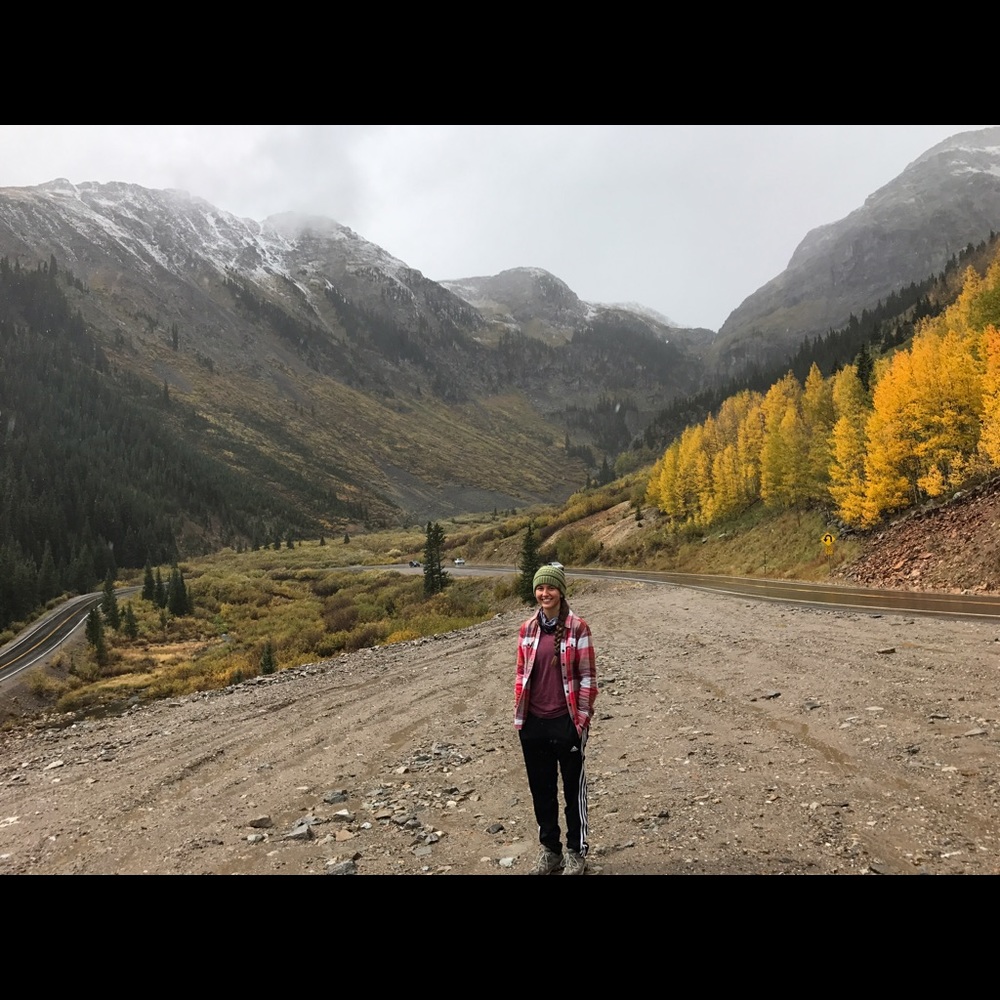 Meet your Posher, Carly