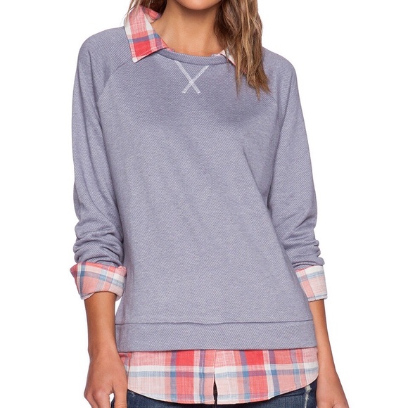 dalmatian sweater for dog