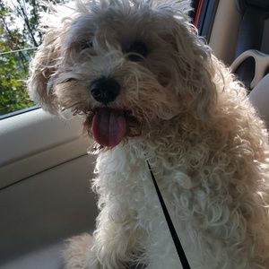 Meet your Posher, Lisa