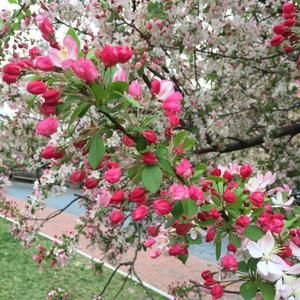 Meet your Posher, Lai