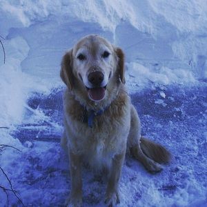 Meet your Posher, Marilyn