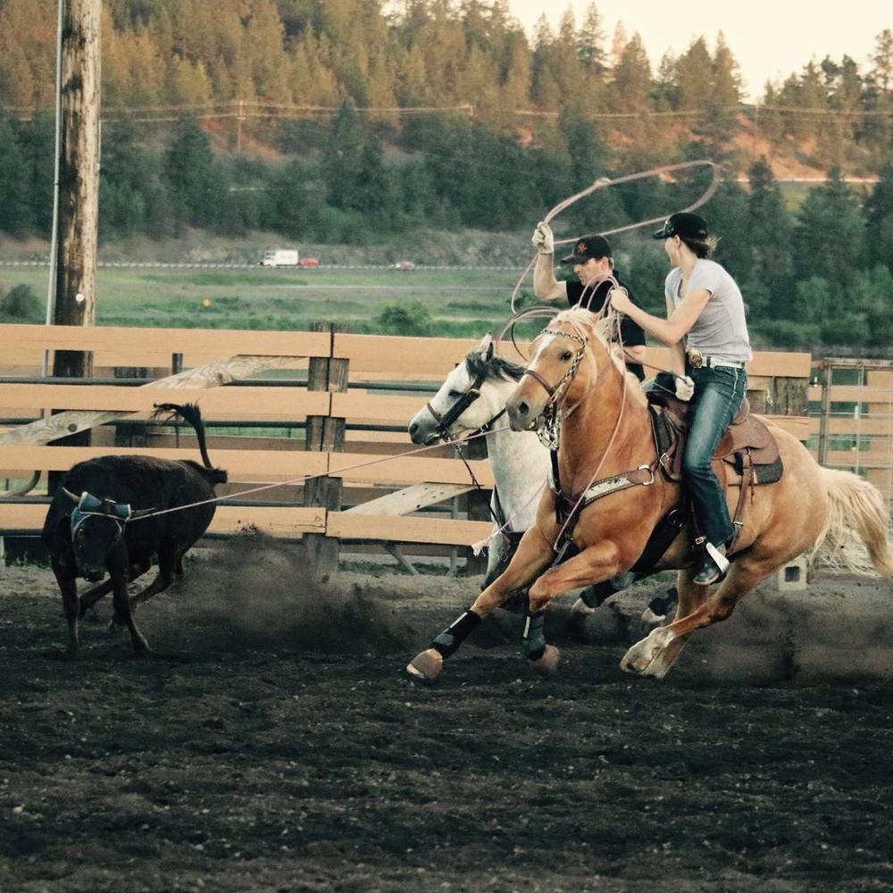 Meet your Posher, Erin