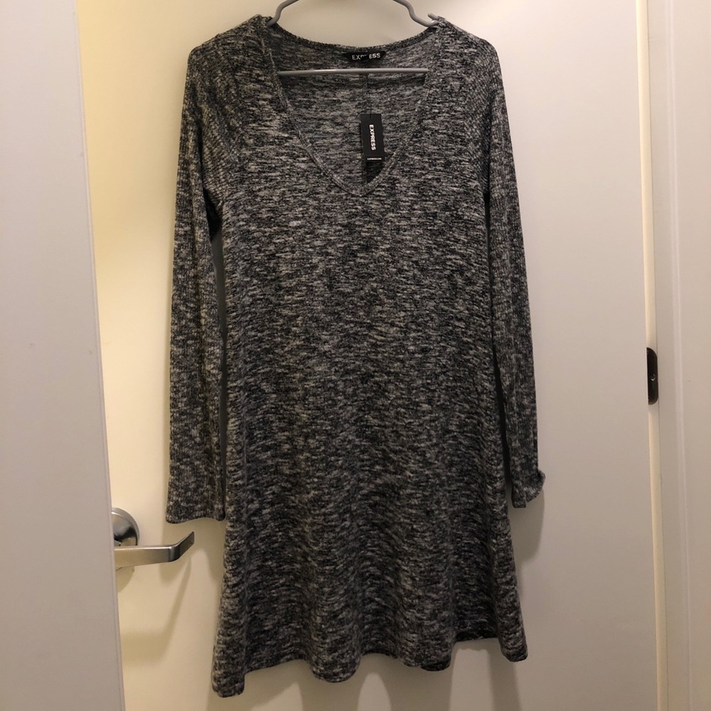 Express Long Sleeved Sweater Dress