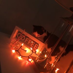 FALL TIME!!!🎃👻💀