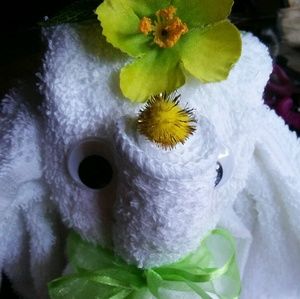 Meet your Posher, Julia