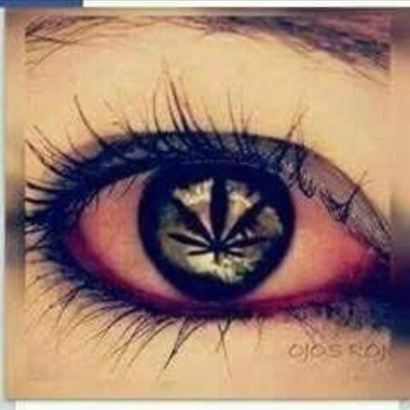 Meet your Posher, Isabella - Picture 1 of 1