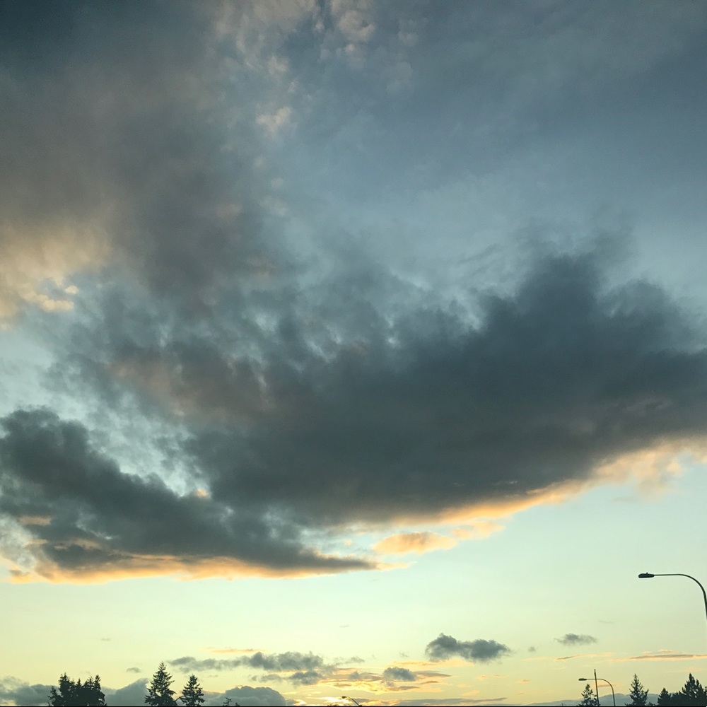 Meet your Posher, Courtney