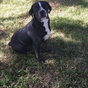 Meet your Posher, Drew