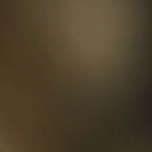 Meet your Posher, Jake