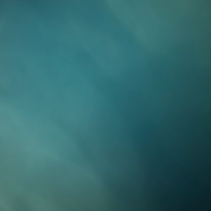 Meet your Posher, Kenzi