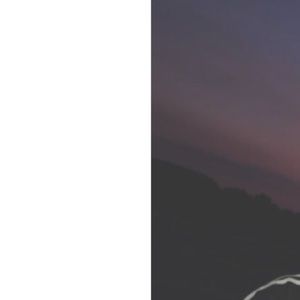 Meet your Posher, Logan