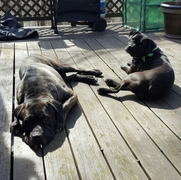 Meet The Posher, Lindsey!! - Picture 4 of 8